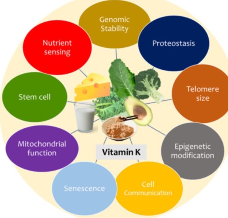 Vitamin k