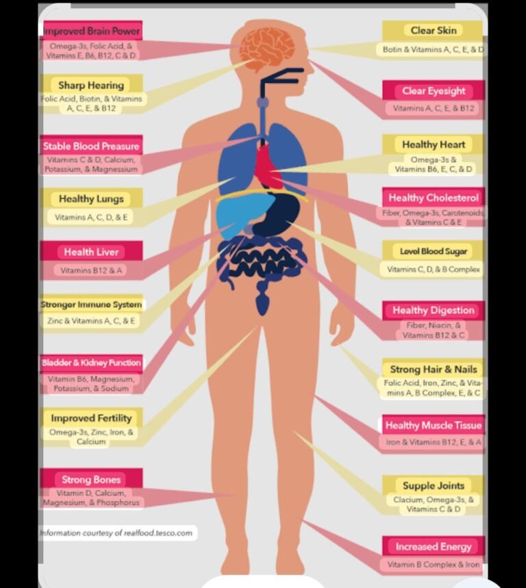 what vitamins does to the body