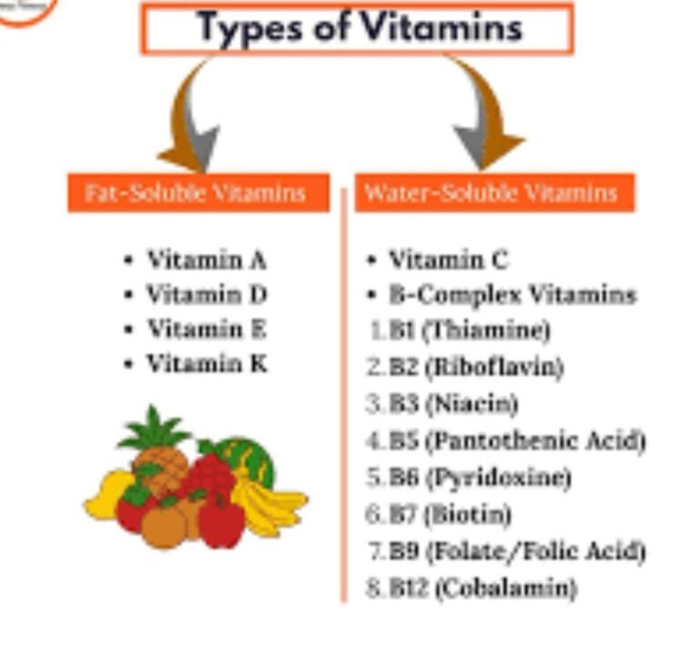 types of vitamins